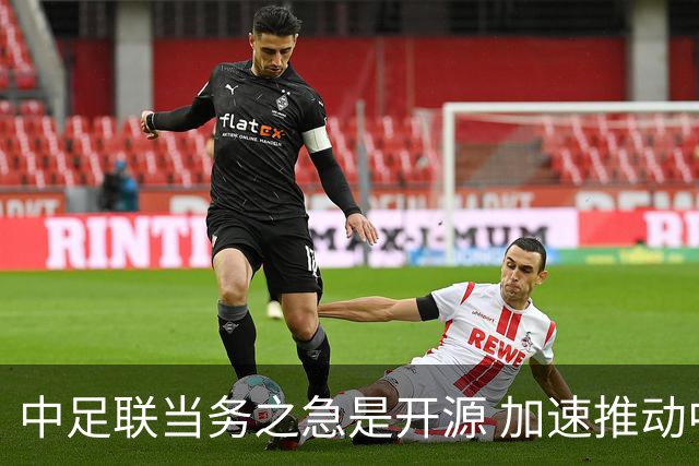 中足联当务之急是开源 加速推动中国足球职业化